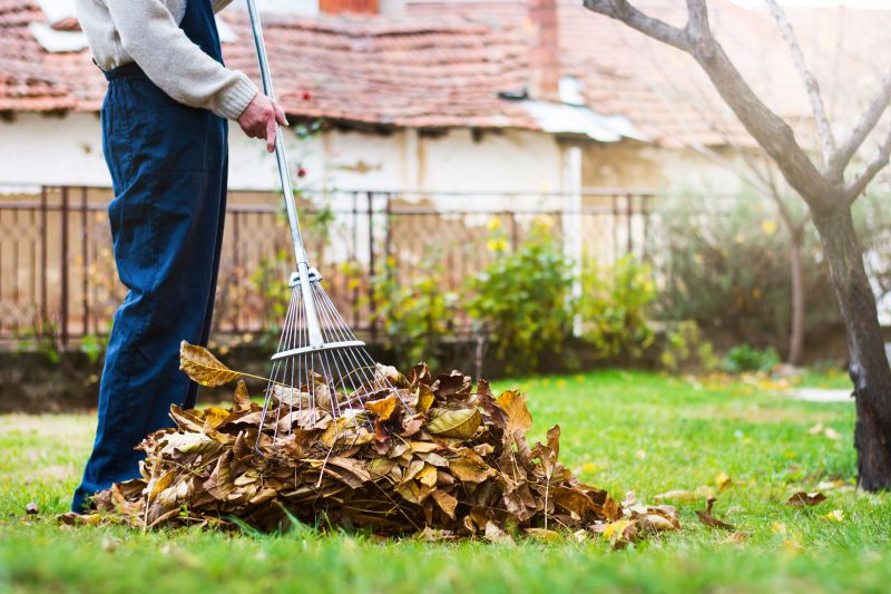 Layered Leaves on Lawn