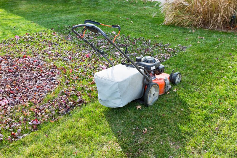 Seasonal Lawn Care Tools