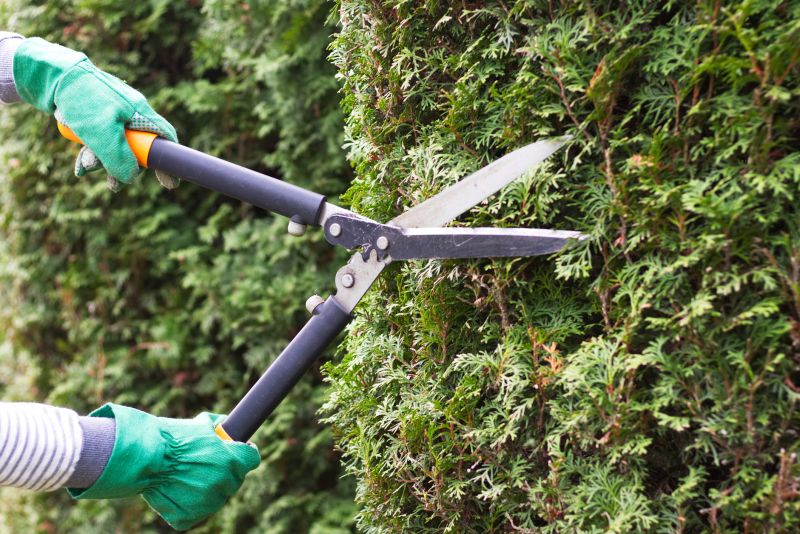 Hedge Trimming Tools
