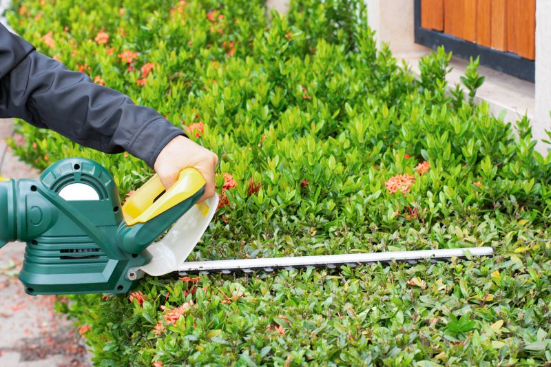 Hedge Pruning Equipment