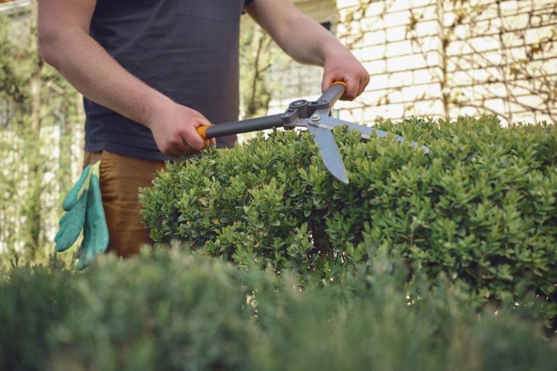 Healthy, Pruned Shrubs