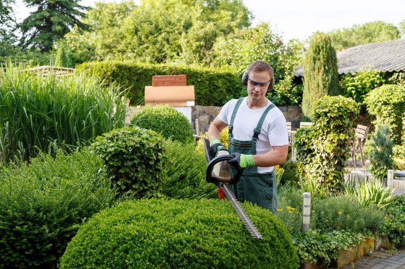 Contact About Hedge Pruning